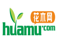 花木网-花木在线交易专业平台