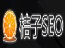 桔子SEO网-为站长提供SEO查询