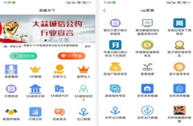 大蒜网